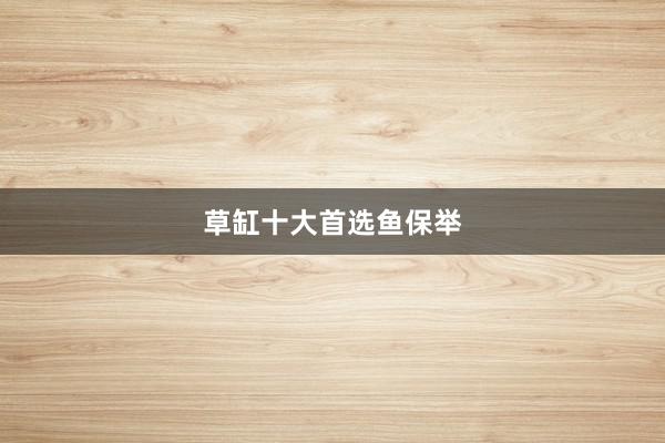 草缸十大首选鱼保举